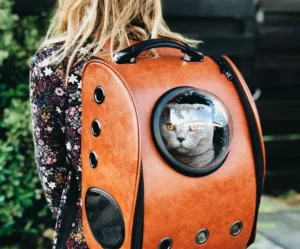 Mochila con visor para gatos y perros