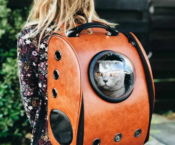 Mochila con visor para gatos y perros
